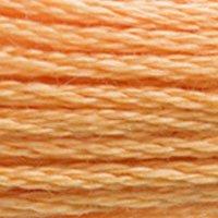 Close up of DMC stranded cotton shade 3854 Spicy Gold
